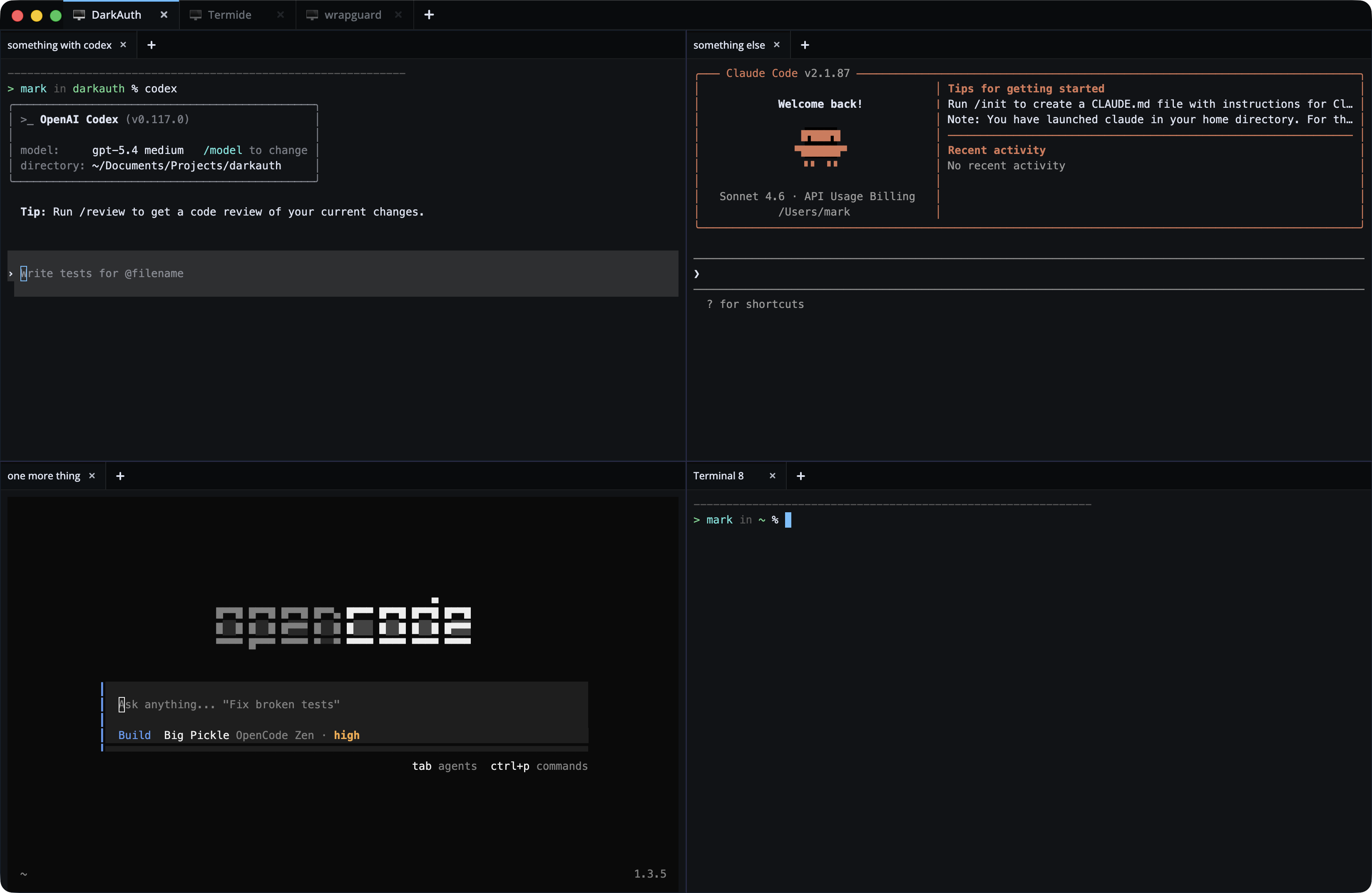 Termide interface showcasing additional terminal organization options